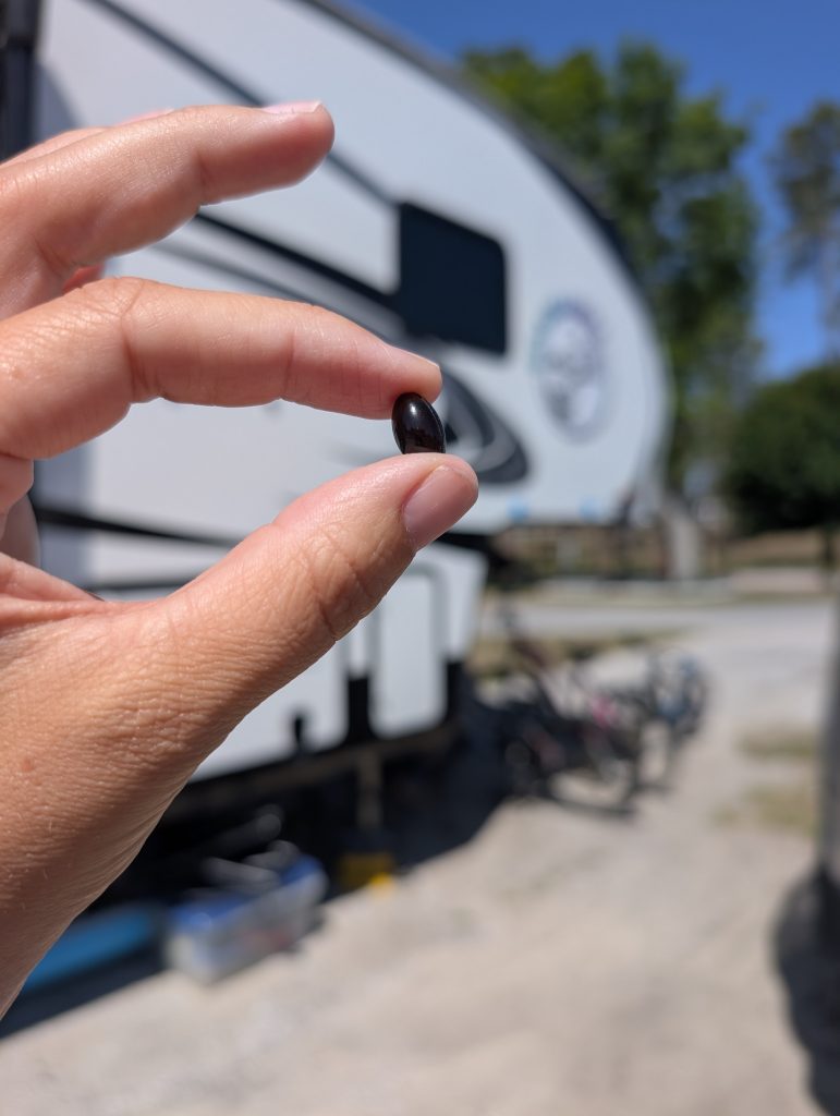 Taking astaxanthin daily as part of a natural sun protection without sunscreen routine for RV living