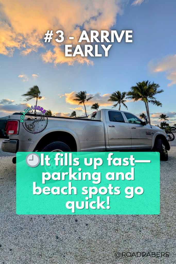Pickup truck parked under palm trees at Sombrero Beach before turtle release