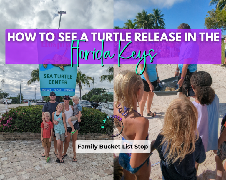 Family standing in front of the Marathon Turtle Hospital sign in the Florida Keys alongside children watching a sea turtle release at Sombrero Beach, with text overlay that reads 'How to See a Turtle Release in the Florida Keys – Free Travel Guide Inside.